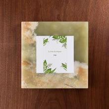 画像をギャラリービューアに読み込む, アプリコットット